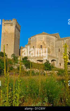 Montmajour abbey near Arles. Arles. Bouches du Rhone. Provence. France Stock Photo