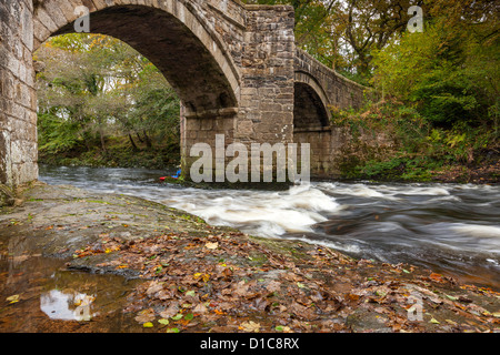 New Bridge over the River Dart in Dartmoor National Park. Stock Photo