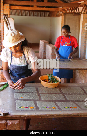 Malagasy Woman from Ambalavao, South Madagascar, Africa. Making Antemoro Parchment Paper from the Bark of the Havoha Tree. Stock Photo