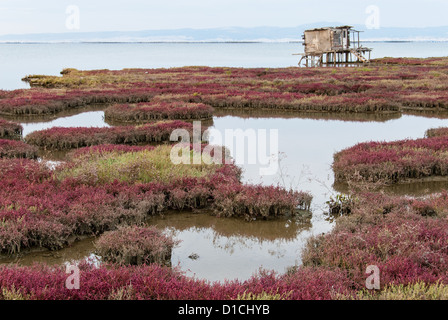 Landscape in Axios Delta, near Thessaloniki, Greece. Axios or Vardaris is the second largest river in the Balkans. Stock Photo