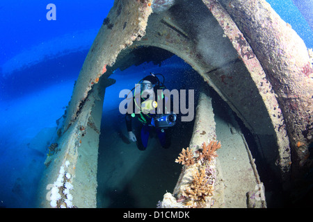 Marine Life in the Red Sea Stock Photo