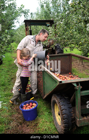 Cider making at Broome Farm near Ross-on-Wye UK where there is free camping and tasting to volunteer apple pickers Stock Photo