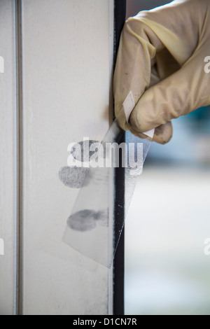 Police crime scene unit, securing of evidence. Stock Photo