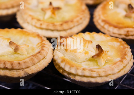 Freshly made mince pies on a cooling tray. Stock Photo