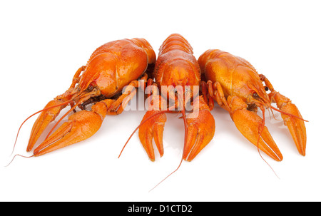 Three boiled crayfishes. Isolated on a white background Stock Photo