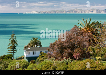 Hawke's Bay, Norfolk Pine, Palm Trees, Napier, north island, New Zealand. Stock Photo