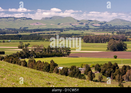 Farmland, looking toward Ruahine Range south of Napier, from Highway 2, north island, New Zealand. Stock Photo