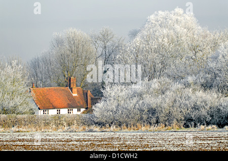 Winter weather countryside woodland trees in farmland field landscape with hoar frost on hedgerow & country cottage roof English tree Essex England UK
