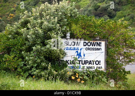 Wellington, New Zealand. 'Slow down for Penguins' Sign, Suburban Residential Area. Stock Photo