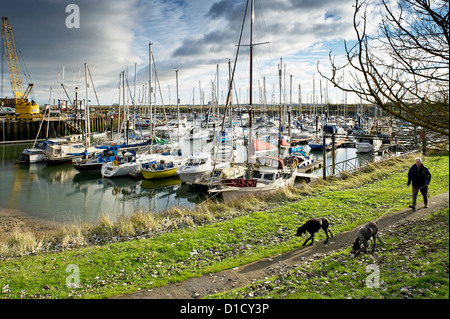 Boats moored in Tollesbury Marina in Essex. Stock Photo