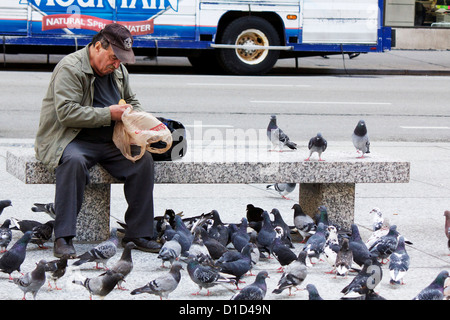 Man feeding pigeons. Daley Plaza, Chicago, Illinois Stock Photo - Alamy