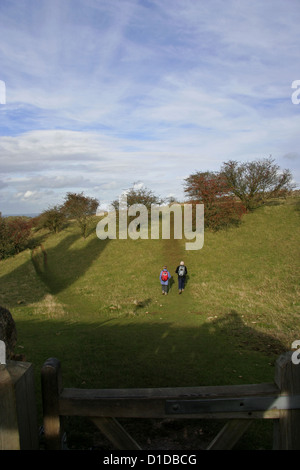 NT Clump Farm on the Cotswold Way in the Shadow of Broadway Tower Stock Photo