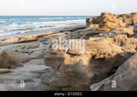 Coquina rock formations along coast of Atlantic Ocean at Washington Oaks Gardens State Park in Florida, USA Stock Photo