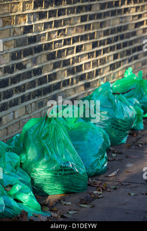 Green refuse sacks supplied by Hounslow Council and filled with autumn leaves lined up ready for collection Stock Photo