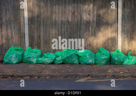 Green refuse sacks supplied by Hounslow Council and filled with autumn leaves lined up ready for collection Stock Photo