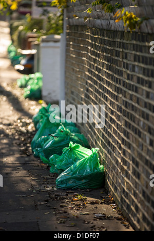 Green refuse sacks supplied by Hounslow Council and filled with autumn leaves lined up ready for collection Stock Photo