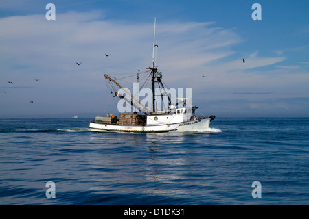 Salmon fishing trawler in the Pacific Ocean off the coast of Westport, Washington, USA. Stock Photo