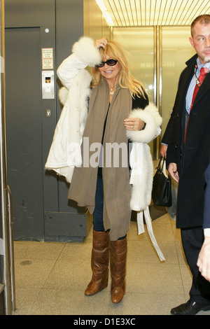 Goldie Hawn arrives at Berlin Tegel airport to attend the 'Ein Herz fuer Kinder'charity gala on December 14, 2012 Stock Photo