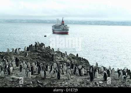 Chinstrap penguins on the shore with cruise ship and Zodiac in the background, Hannah Point, Anarctica, Polar Regions Stock Photo