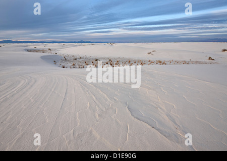 Patterns in the dunes, White Sands National Monument, New Mexico, United States of America, North America Stock Photo