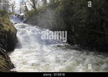 Swallow Falls, Afon Llugwy river, near Betws-y-Coed, Wales, North Wales, United Kingdom, Europe Stock Photo