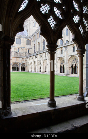 Norwich Cathedral Cloisters, Norwich, Norfolk, England, United Kingdom, Europe Stock Photo