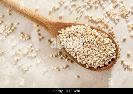 Pearl Barley Stock Photo