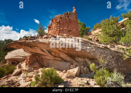 Painted Hand Pueblo, Anasazi ruins at Canyons of the Ancients National Monument, Colorado, USA Stock Photo