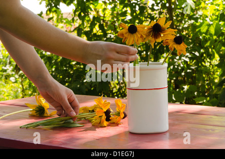 Woman hands put rudbekia flowers in white vase on rural outdoor wooden table. Stock Photo