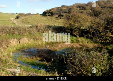 Dew pond on south downs, Sussex, UK Stock Photo