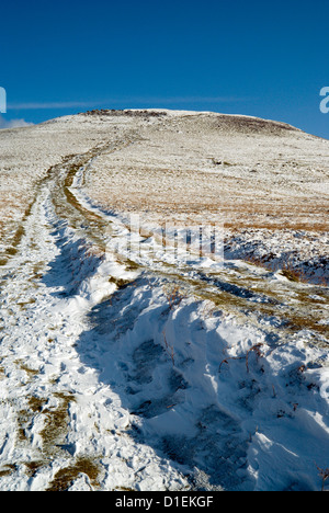 Path leading to summit of Sugarloaf Mountain, Brecon Beacons National Park, Monmouthshire, Wales. Stock Photo