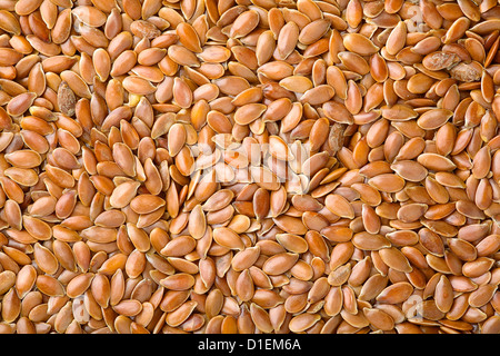Close up of a flax seed as food background Stock Photo