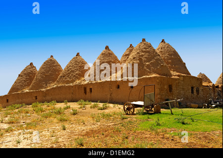 Pictures of the beehive adobe buildings of Harran, south west Anatolia, Turkey. Stock Photo