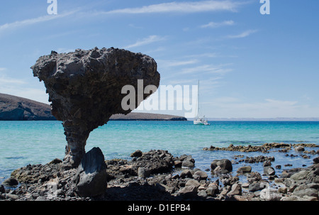 Balandra beach on the Sea Of Cortez north of La Paz Baja Sur Mexico with its clear waters and famous mushroom rock Stock Photo