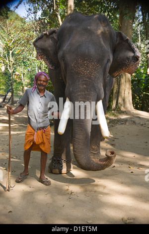 Vertical portrait of an Indian elephant and his mahout standing in the jungle. Stock Photo