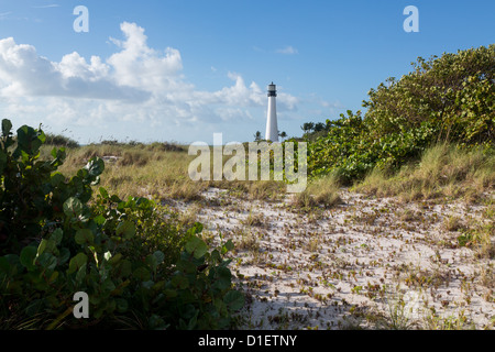 DUNES KEY BISCAYNE LIGHTHOUSE BILL BAGGS CAPE FLORIDA STATE PARK ...