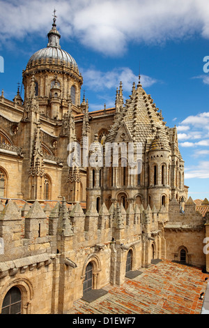 Old Cathedral Salamanca Castilla Leon Spain Stock Photo