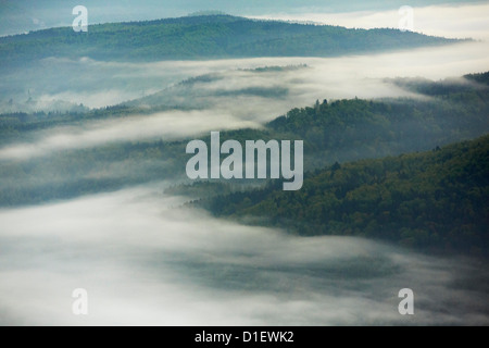 Morning fog with forest in the Danube Valley, aerial photo Stock Photo