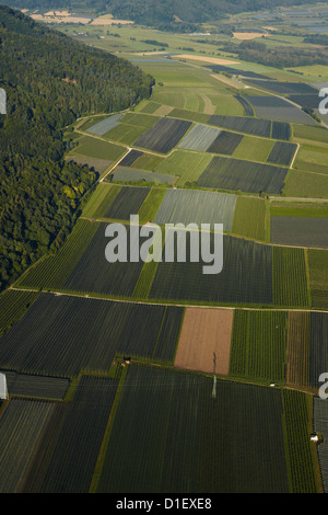 Apple orchards between Bodmann and Radolfzell, Baden-Wuerttemberg, Germany, aerial photo
