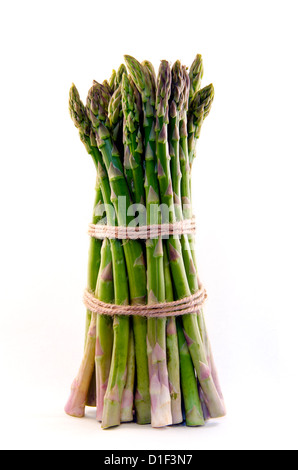 Large sheaf of asparagus standing upright and isolated on a pure white background. Stock Photo