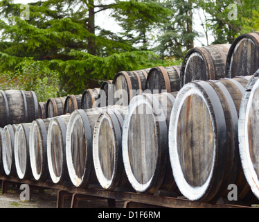 Oak port wine barrels stacked in a row Stock Photo