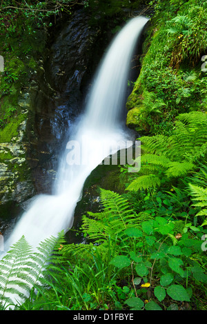 Waterfall, Glendalough, County Wicklow, Leinster, Republic of Ireland, Europe Stock Photo