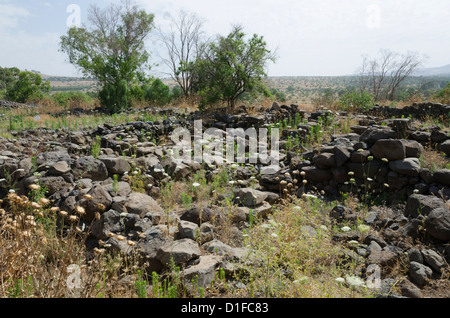 Archaeological site of the biblical city of Bethsaida, Sea of Galilee, Israel, Middle East Stock Photo