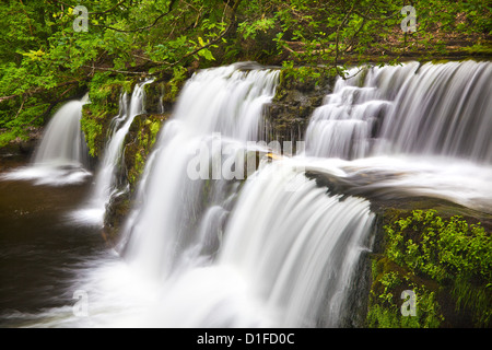 Sgwd y Pannwr Waterfall, Brecon Beacons, Wales, United Kingdom, Europe Stock Photo
