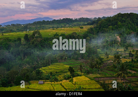 Rainforest and fields, Senaru, Lombok, Indonesia, Southeast Asia, Asia Stock Photo