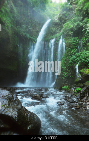 Air Terjun Tiu Kelep waterfall, Senaru, Lombok, Indonesia, Southeast Asia, Asia Stock Photo