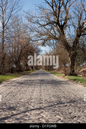 Old road built with stone hexagons at early spring. Volyn, Ukraine. Stock Photo