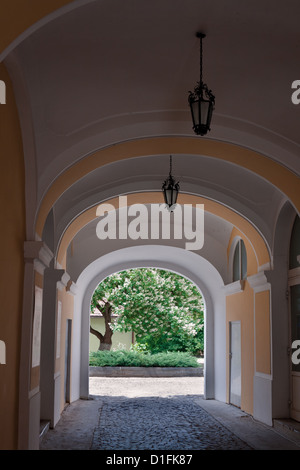 Blooming plane tree in courtyard house arch Stock Photo