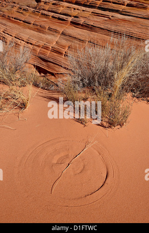 Circle in red sand created by a rotating twig, Vermillion Cliffs National Monument, Arizona, United States of America Stock Photo