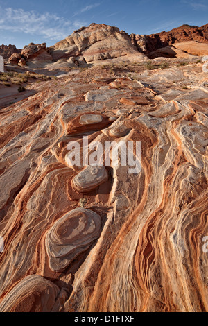 Colorful sandstone layers, Valley Of Fire State Park, Nevada, United States of America, North America Stock Photo